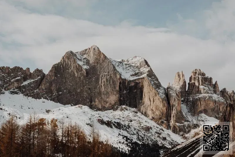 友盈投資有限公司