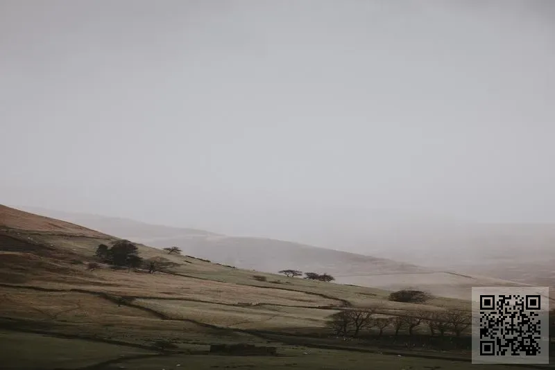 香港莫納商貿有限公司