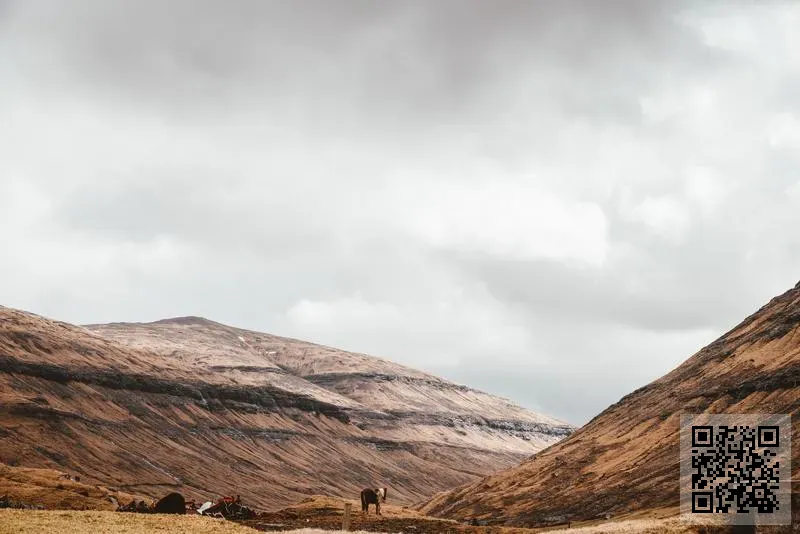 WATION TECHNOLOGY LIMITED