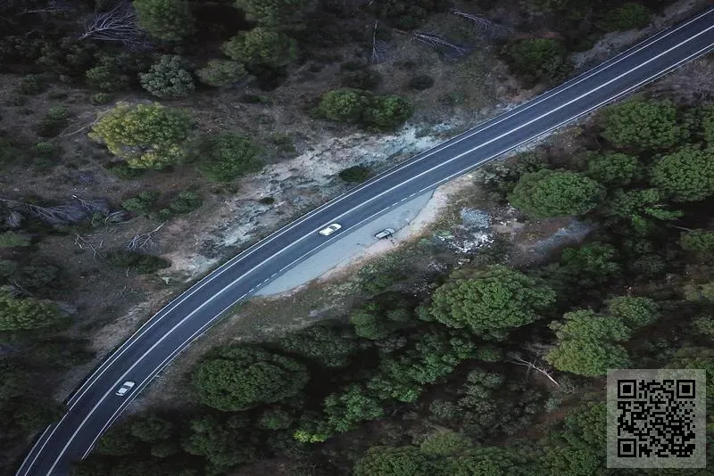 楹生貿易(香港)有限公司