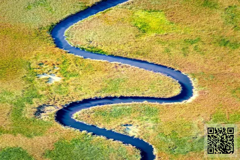 永興發展98有限公司