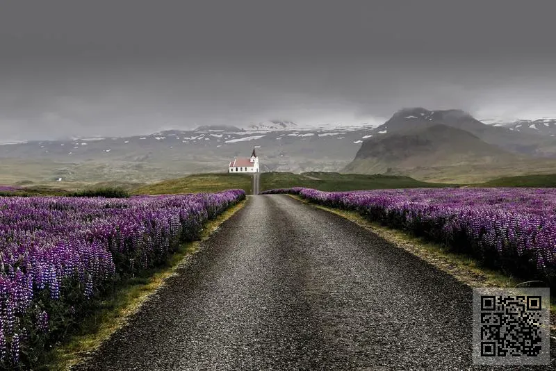 長騰發展有限公司