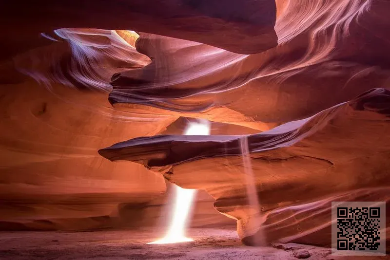 shuchin international logistics (hongkong) co., Limited