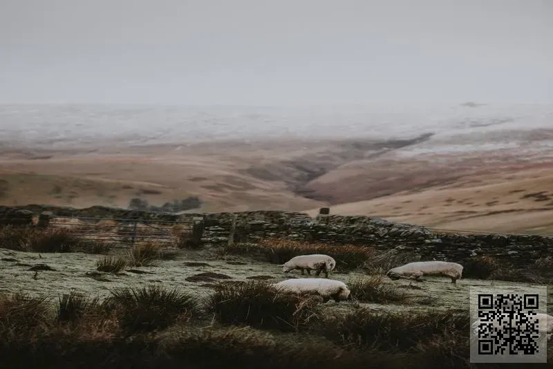 Brand Machine HK Limited