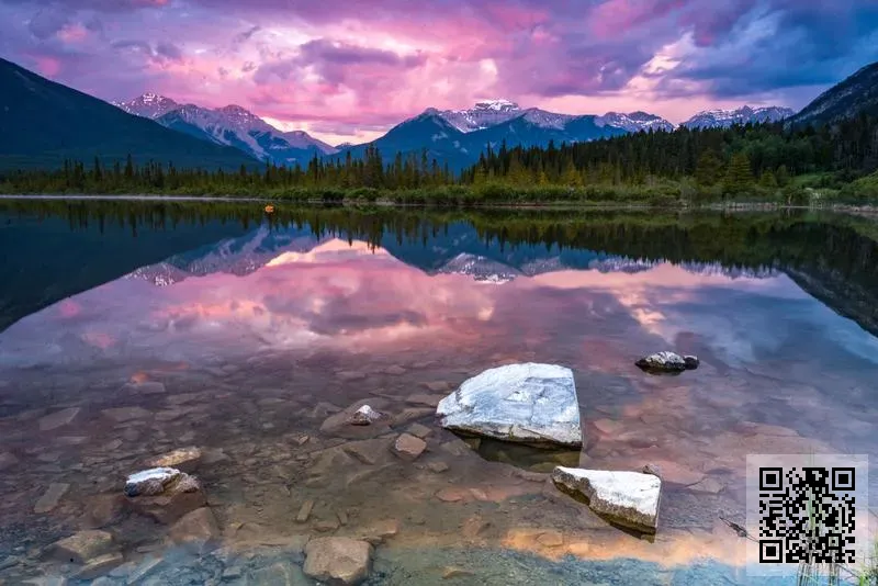 ZAT TRADE (HK) INTERNATIONAL CO., LIMITED