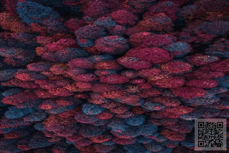 GDR INTERNATIONAL CO., LIMITED