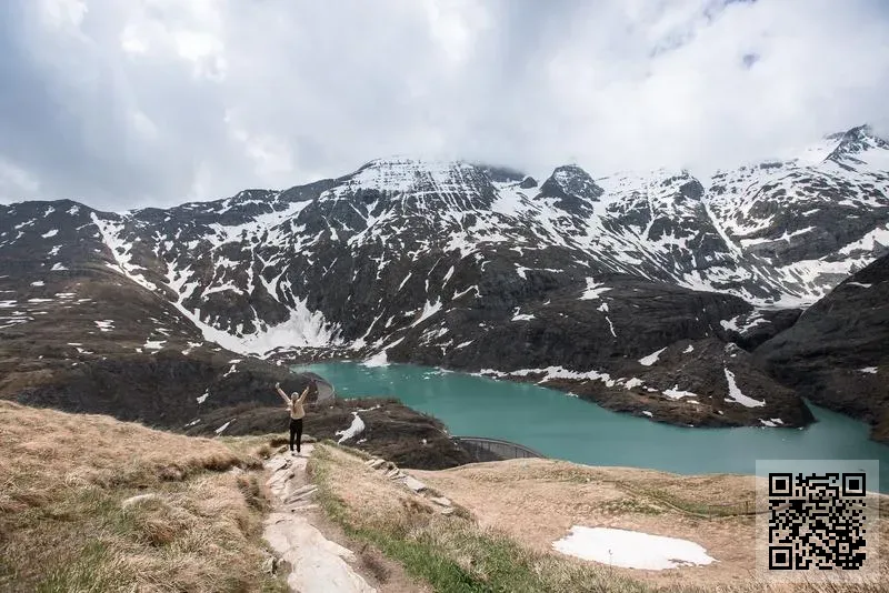 肥熊熊(香港)有限公司