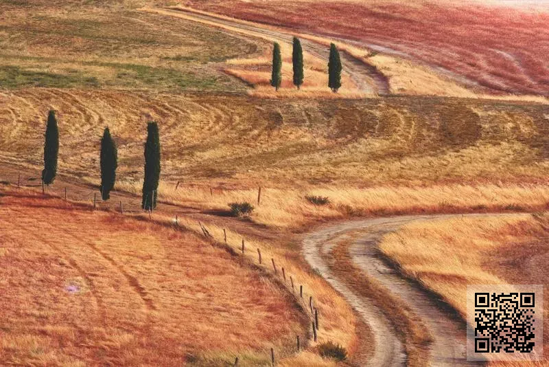 VARUN INCORPORATION LIMITED