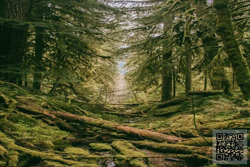 BEST MARKET ASIA PACIFIC LIMITED