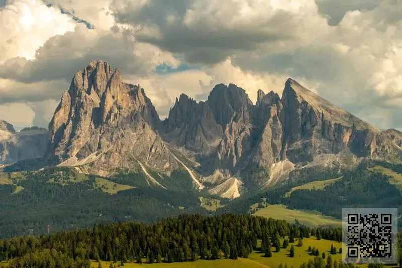 OZAL TRADING COMPANY LIMITED