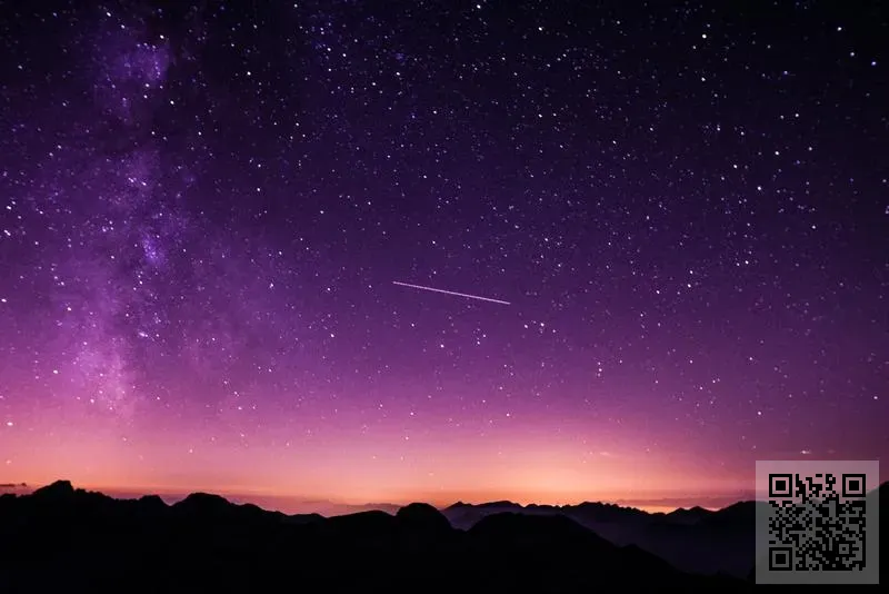 GNARUS COMPANY LIMITED