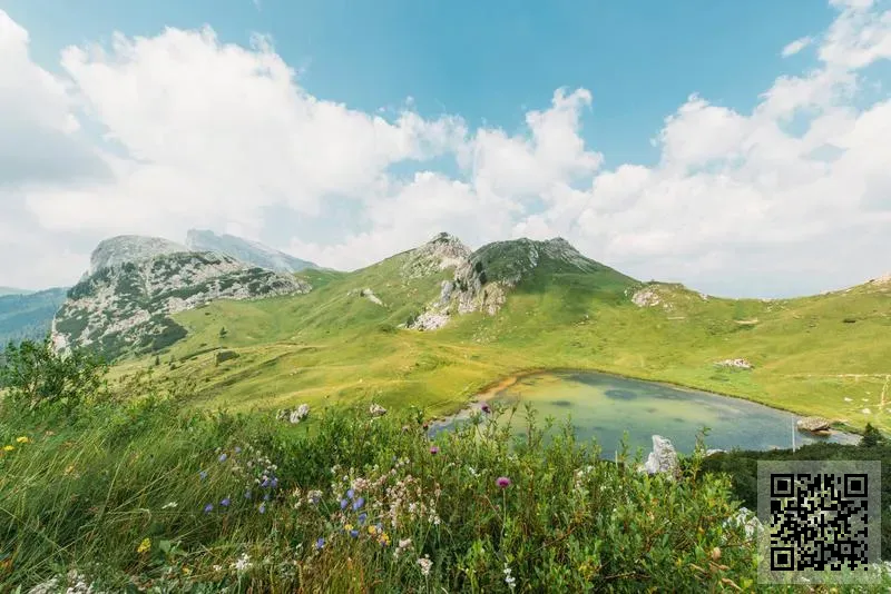 天浩皮具實業有限公司