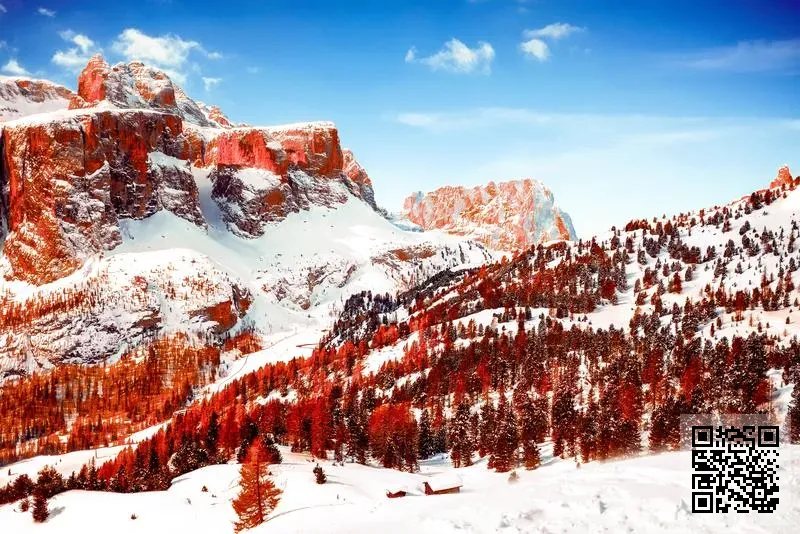 羅勒科技有限公司