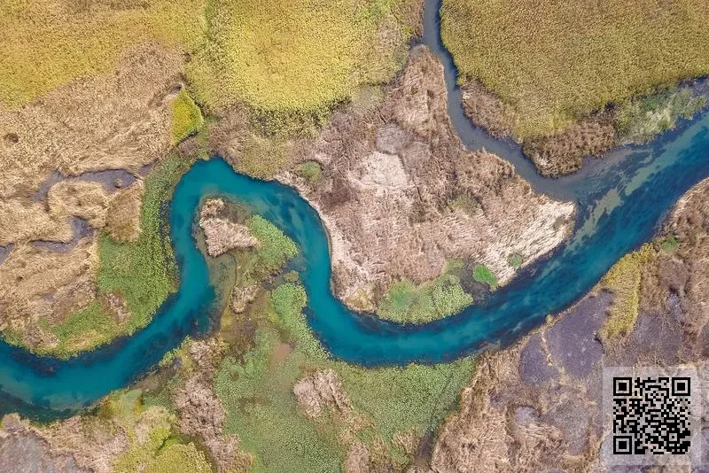 泰俊車行有限公司