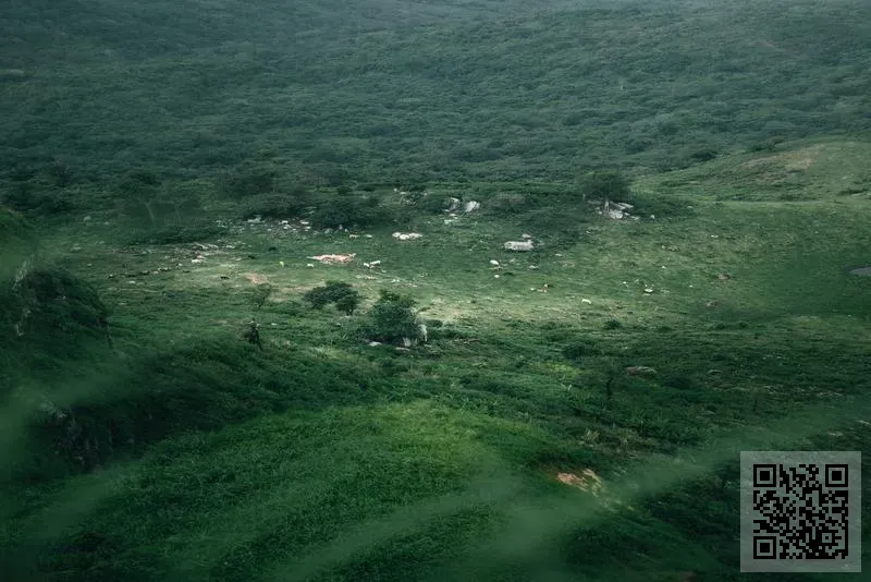 財阜地產有限公司