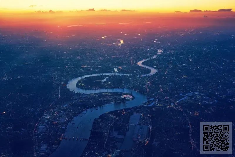 天果國際有限公司