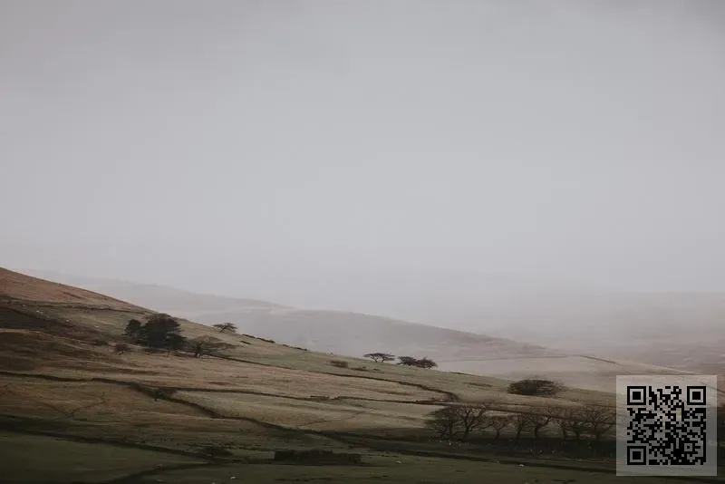 香港浩海昌科技有限公司