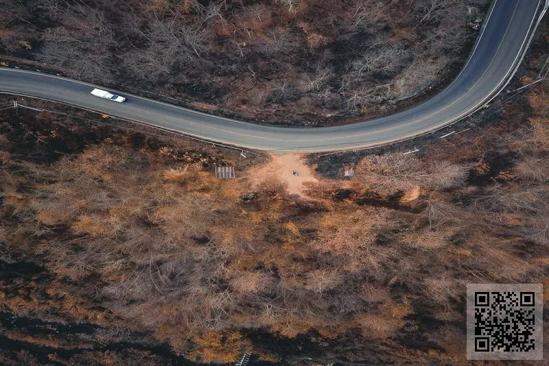 神話玩具模型文化藝術國際有限公司