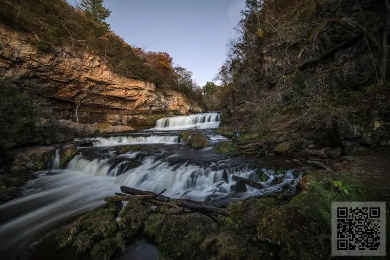 駟維科技有限公司
