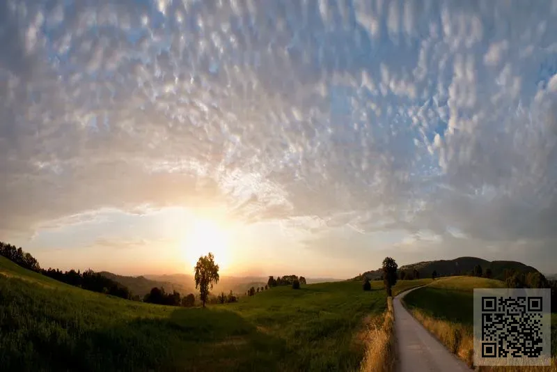 滬港電氣有限公司