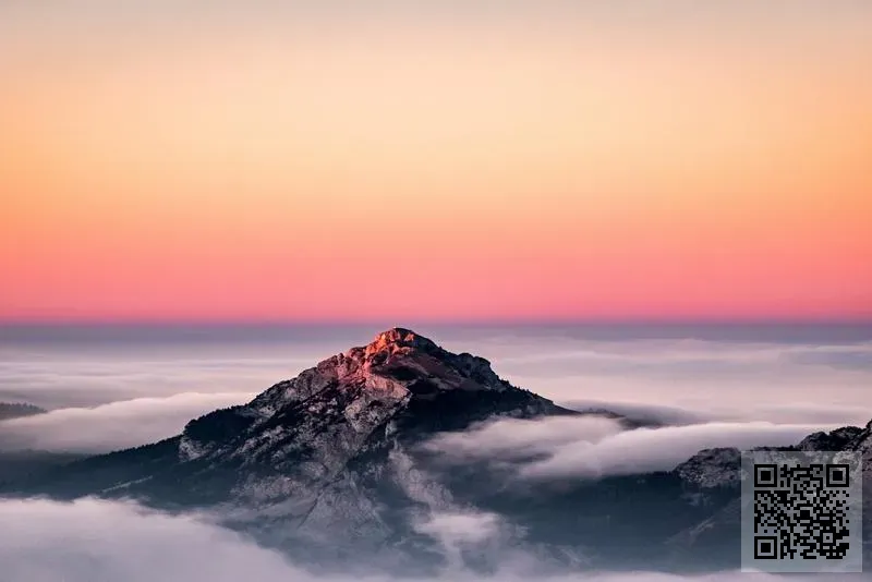 香港啄木鳥遠東有限公司