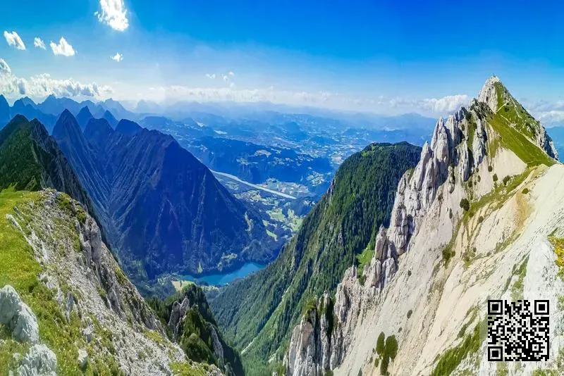 盈佳物流(中國)有限公司