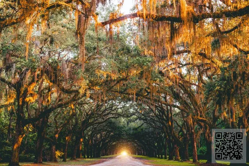 寶路雅時尚集團有限公司