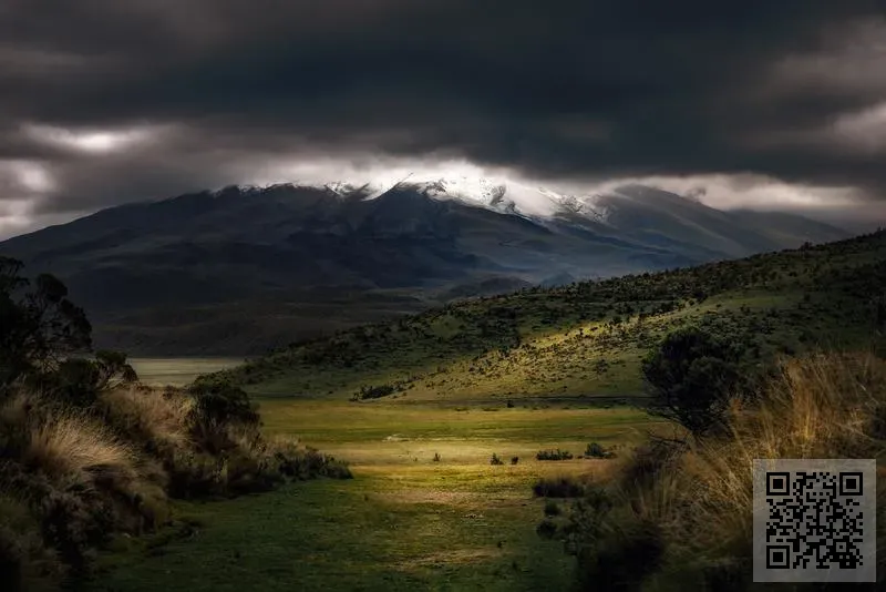 赫瑞森玩具(香港)有限公司