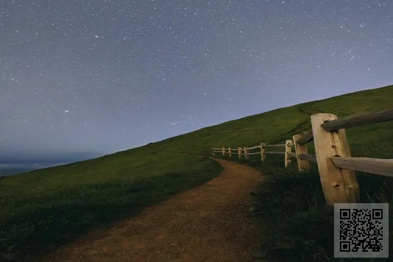 山福信息諮詢有限公司