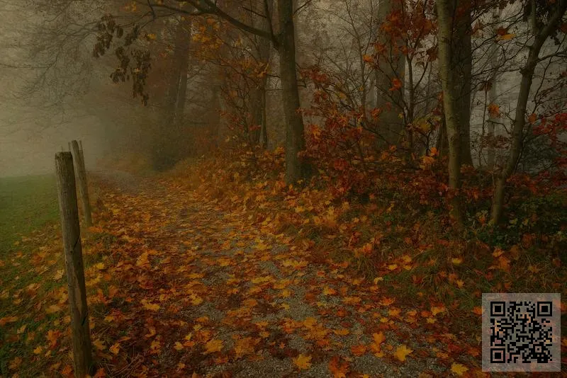 德國驪圖醫療設備有限公司