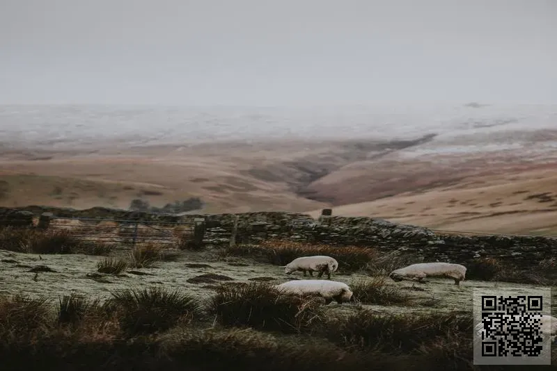 香港東榮貿易有限公司