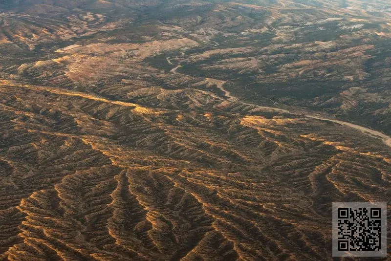 BLOOM METAL AND CHEMICAL CO., LIMITED