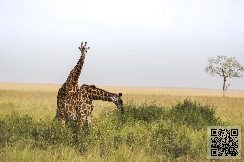 品源包裝印刷有限公司