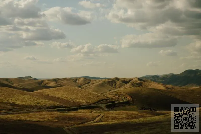 每日互聯有限公司