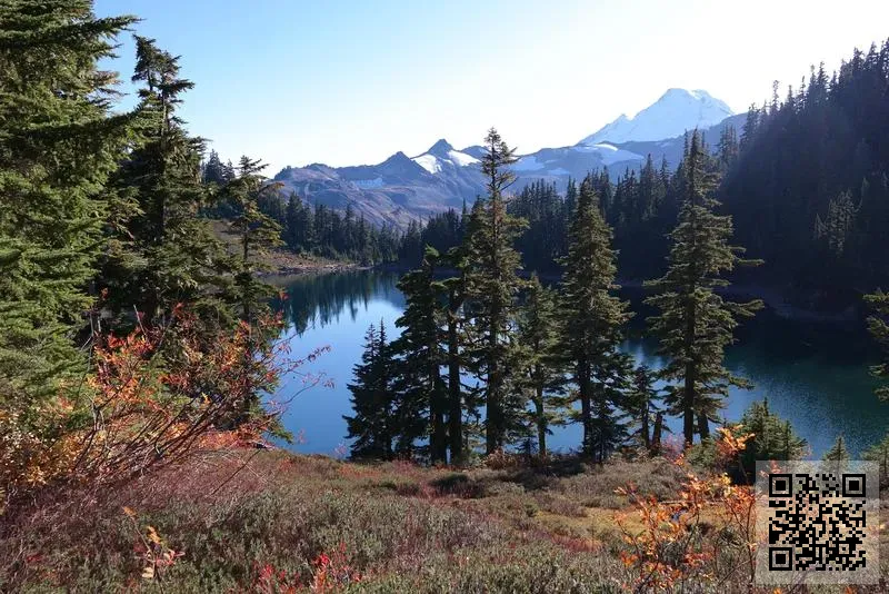 耀佳亞洲有限公司