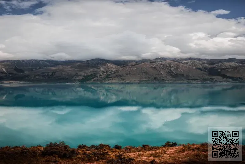 香港颶鑫實業有限公司