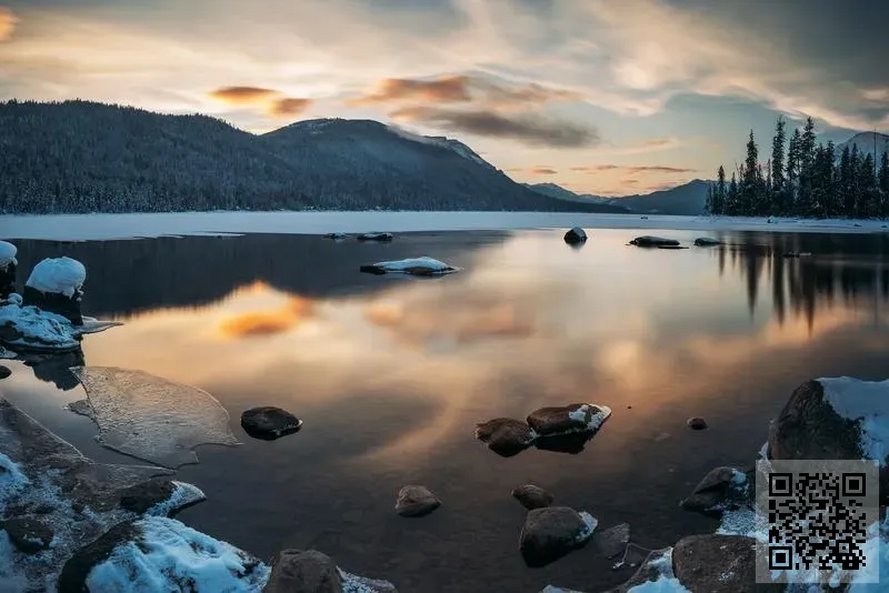 BLEU LAGOON COMPANY LIMITED