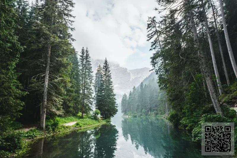 湖北駱駝能源集團股份有限公司