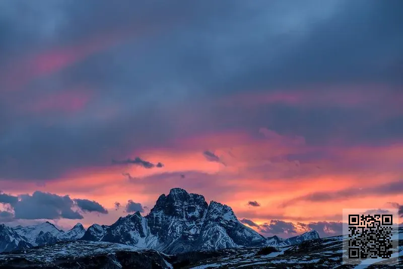 艾塞特有限公司