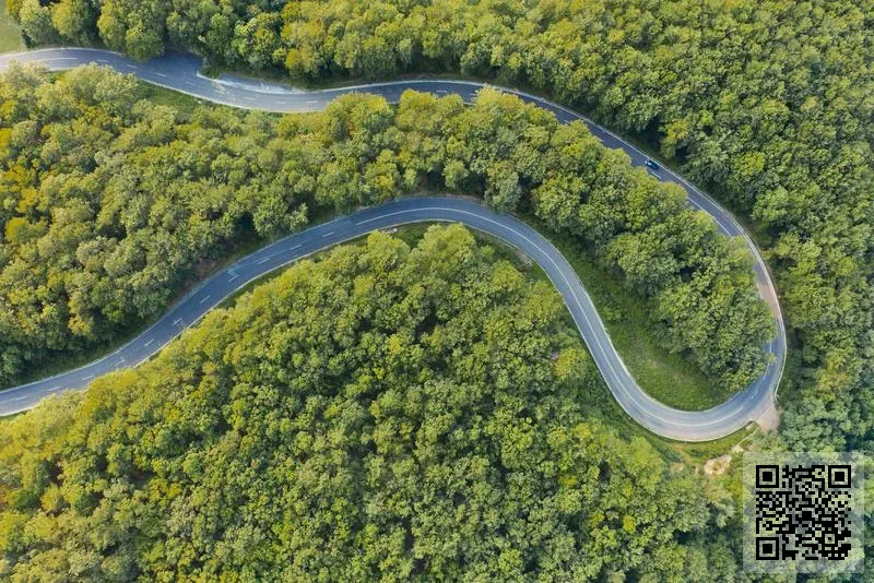 香港德融貿易有限公司