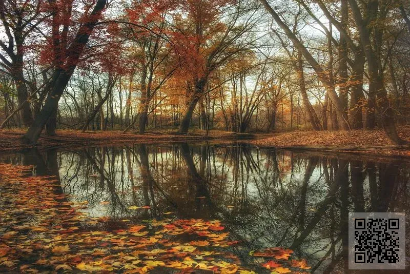 樂在其中娛樂文化有限公司