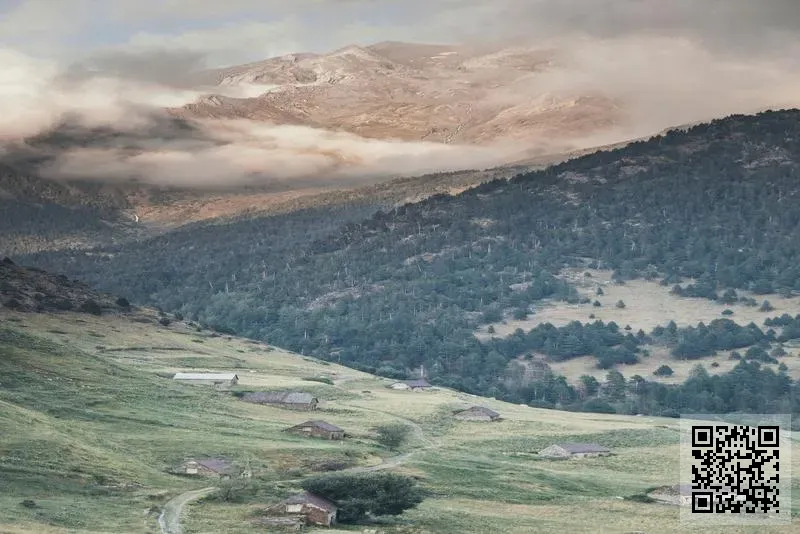 文武盛世有限公司