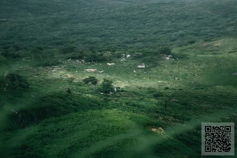 茄子控股有限公司