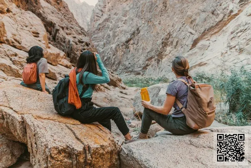 迴家設計有限公司