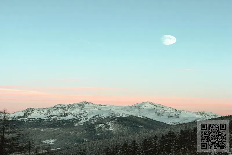 新穎亞洲有限公司