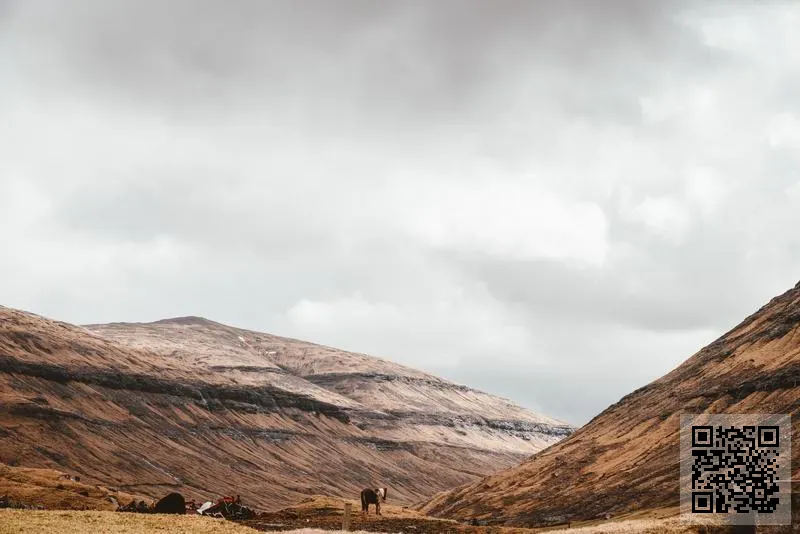 菲樂斯玩具有限公司