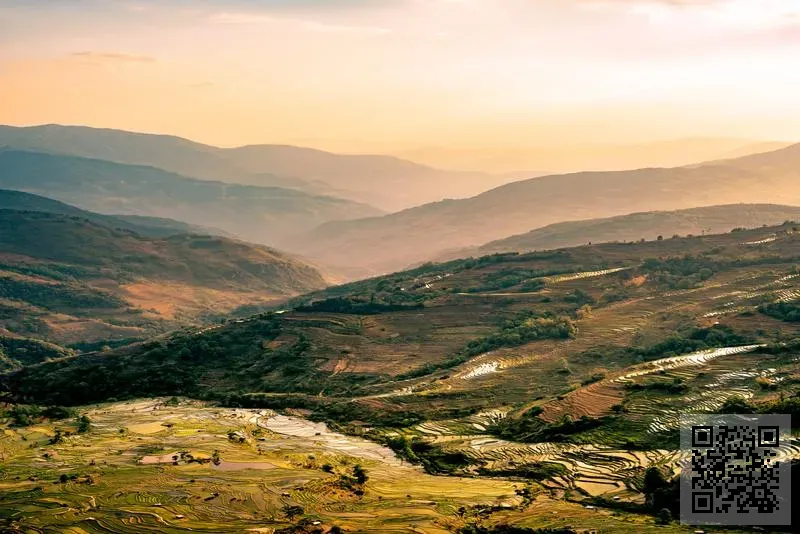 Blindspot Gallery (HK) Limited