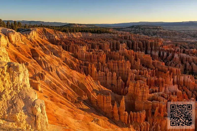 松勤國際貿易有限公司