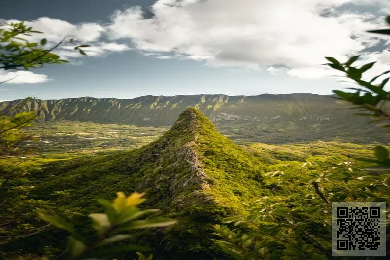 中國合資建房開發有限公司