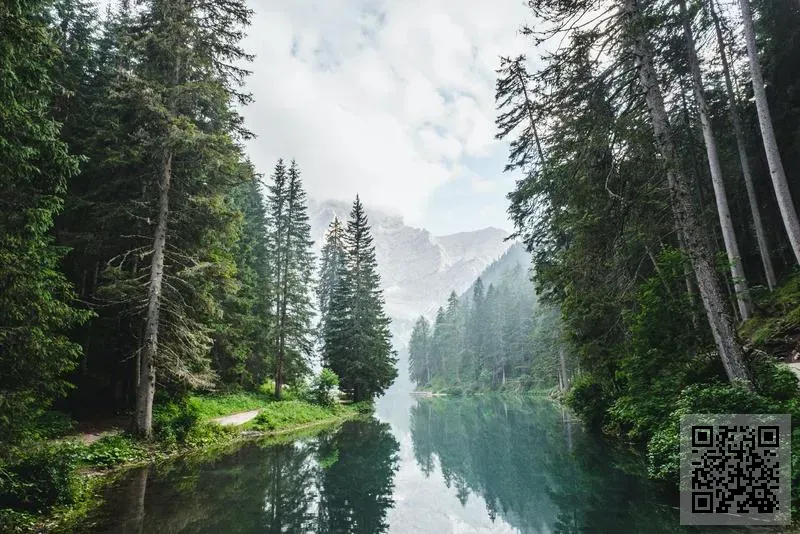 美國芭莉雅化妝品(香港)股份有限公司